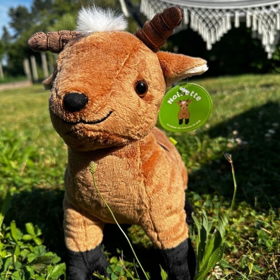 Peluche Noisette – vue 2