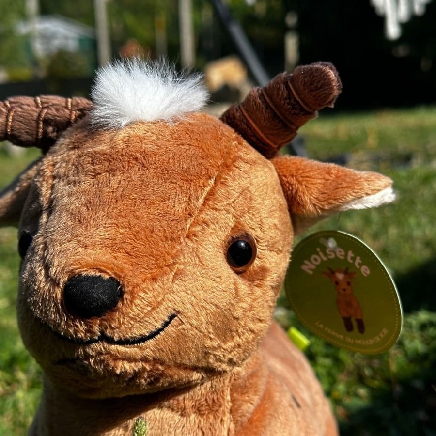 Peluche Noisette – vue 3