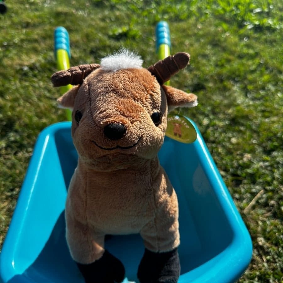 Peluche Noisette – vue 4